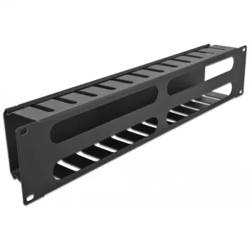 DeLOCK - Placa de guiado de cables para armario eléctrico - Negro - 2U - 48,3 cm (19) (66553)