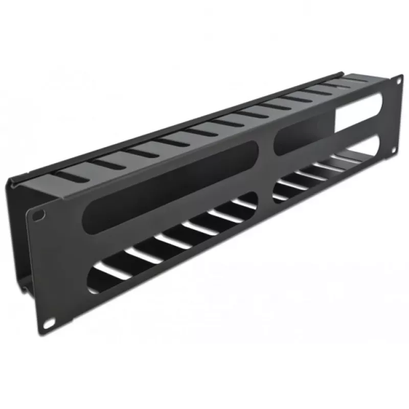 DeLOCK - Placa de guiado de cables para armario eléctrico - Negro - 2U - 48,3 cm (19) (66553)
