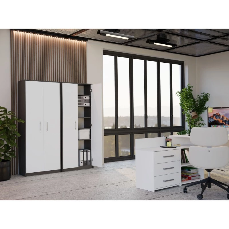 ESTANTERÍA CERRADA OLIV 2D, ANTRACITA/Blanco SET