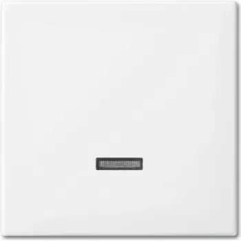 Busch-Jaeger 6543-914-102 Placa de cubierta para soporte y caja de sensor Blanco (2CKA006599A3018)