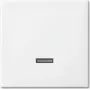 Busch-Jaeger 6543-914-102 Placa de cubierta para soporte y caja de sensor Blanco (2CKA006599A3018)