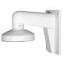 Hikvision DS-1473ZJ-135 accesorio para cámara de seguridad luminaria