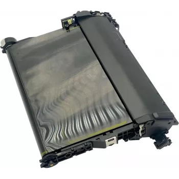 Samsung JC93-01540A - Cinta de transferencia - para CLP-365W CLX-3305W C430W C460 C480FW