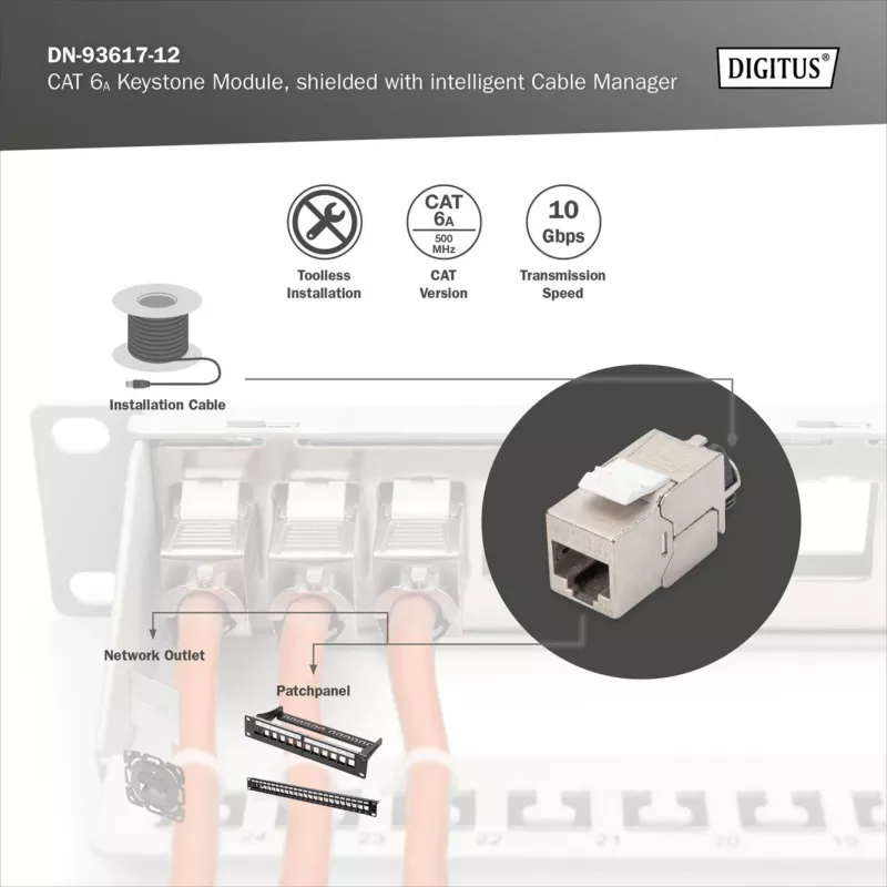 Digitus Módulo Keystone Cat.6A apantallado con gestor de cables inteligente, 12 uds., plata