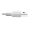 Eaton Tripp Lite Series cable USB-A a Lightning de sincronización/carga (M/M) - certificado MFi, blanco, 3 ft. (0,9 m) - cable de datos/alimentación - USB macho a Lightning