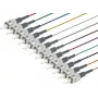 Lightwin PIG 50 ST-12 2.0 OM3 accesorio de conectividad