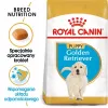 Royal Canin Golden Retriever Puppy pienso seco para perros, 12 kg