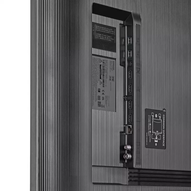 TV Samsung QE100QN80FUXXN 100