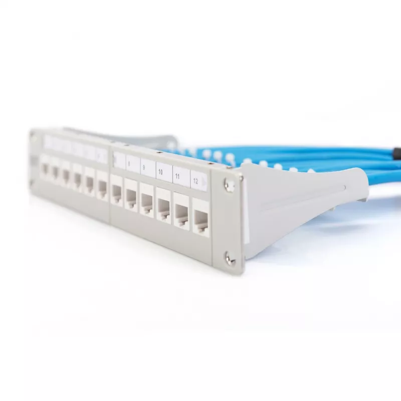 Panel de parcheo modular Digitus DN-91419 12 puertos