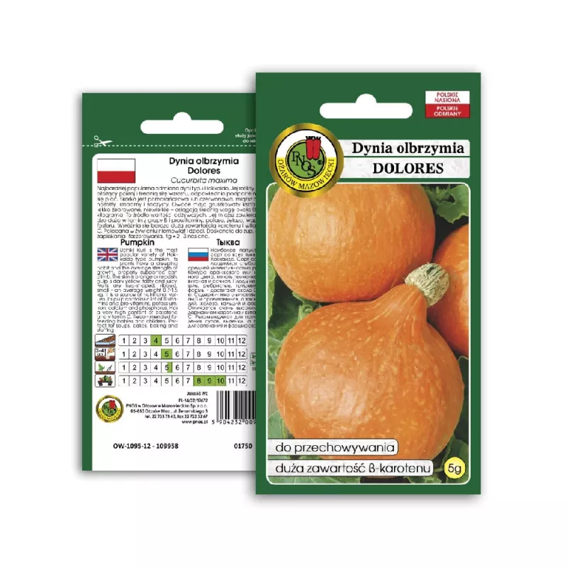 PNOS calabaza gigante Dolores semillas de hortalizas, 5 g