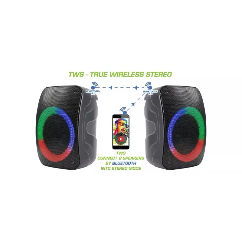 Altavoz Bluetooth Rebelt ec STAGE 300