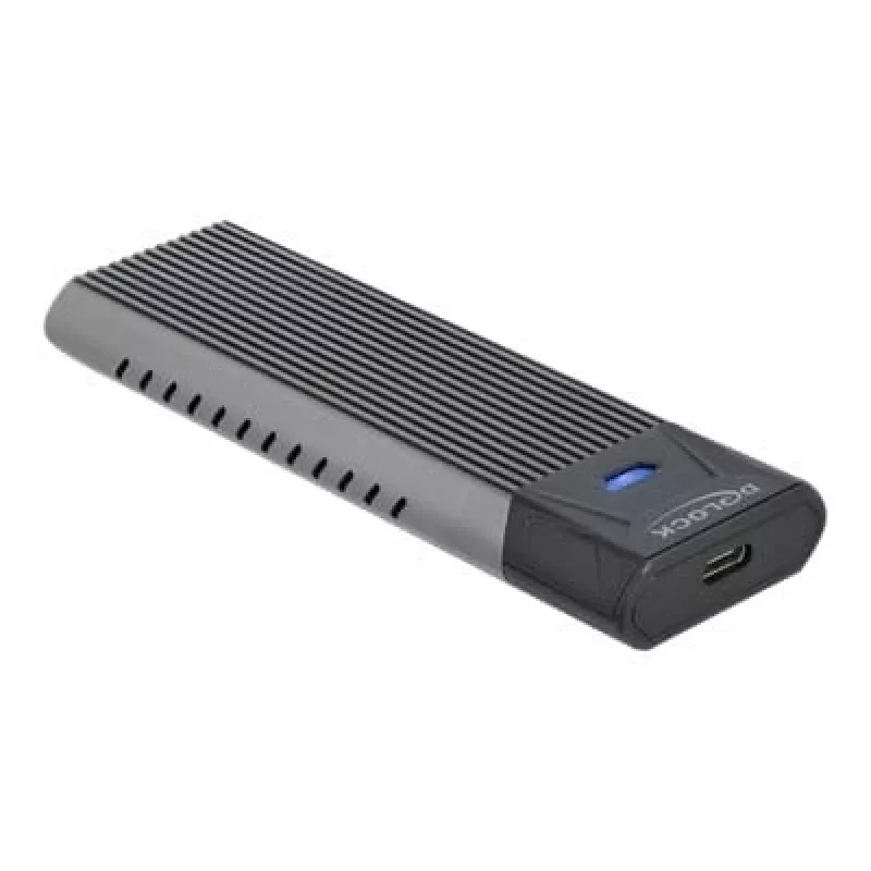 Carcasa externa combo USB Type-C DeLOCK para SSD M.2 NVMe PCIe o SATA - carcasa de almacenamiento - M.2 - tarjeta M.2 NVMe / SATA 10Gb/s - USB 3,2 (Gen 2) (4263