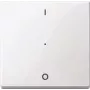 Merten MEG5211-0319 Interruptor eléctrico blanco (MEG5211-0319)