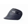 Ratón Gembird MUSW-ERGO-03 hogar diestro RF inalámbrico óptico 1600 DPI