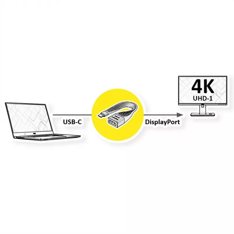 ROTRONIC-SECOMP Roline - Cable adaptador - USB-C (M) a DisplayPort (H)