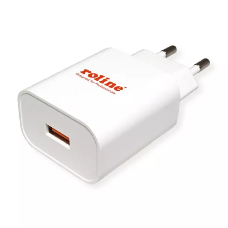 Cargador de interior ROLINE 19111061 universal blanco AC carga rápida