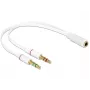 Cable de audio DeLOCK 65585, 0,2 m, 2 x conector macho 3,5 mm a conector hembra 3,5 mm, blanco