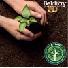 Hervidor eléctrico Beldray LA068717GRYEU7 1,7 L, 2200 W, gris