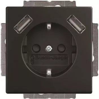 BJ 20 EUCB2USB-885 Toma SCHUKO/2x USB (2CKA002011A6279)
