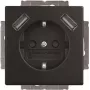 BJ 20 EUCB2USB-885 Toma SCHUKO/2x USB (2CKA002011A6279)