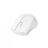 Ratón DICOTA D31659W RF Wireless USB Type-C
