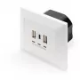 DIGITUS DA-70618 - salida USB - USB, USB Type C - 2 puertos USB, 1 conector hembra USB-C - 3,1 A - RAL 9003, blanco señal