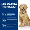 Hill's Prescription Diet j/d Canine 12 kg