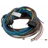 Cable I/O TOMTOM Webfleet Passthrough Thermograph - ColdChain, modelo 10834