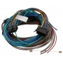 Cable I/O TOMTOM Webfleet Passthrough Thermograph - ColdChain, modelo 10834