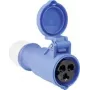 Acoplamiento CEE AS Schwabe 60592 16 A 230 V, conector industrial
