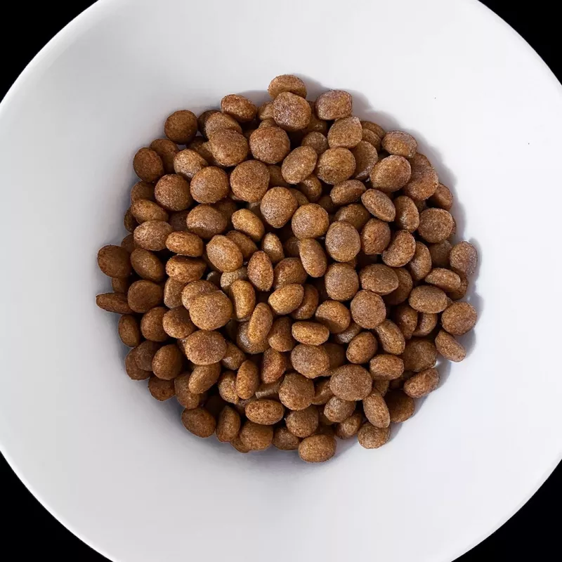 VET RESPONSE Hipoalergénico - Pienso seco para perros - 8 kg
