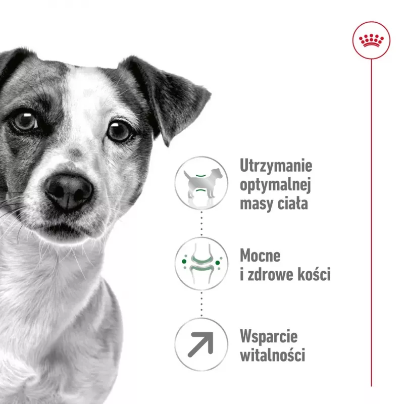 Comida seca para perros Royal Canin Mini Adult 8+ 2 kg — razas pequeñas 5–10 kg, aves, fórmula de control de peso