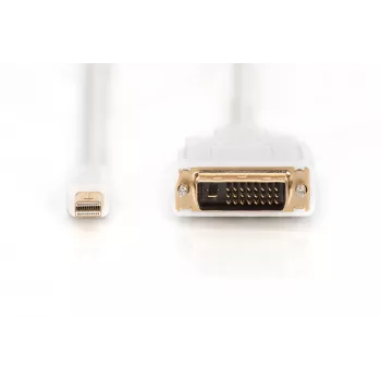 Cable DisplayPort 1.1a Mini DP-DVI tipo A macho-macho 2,0 m