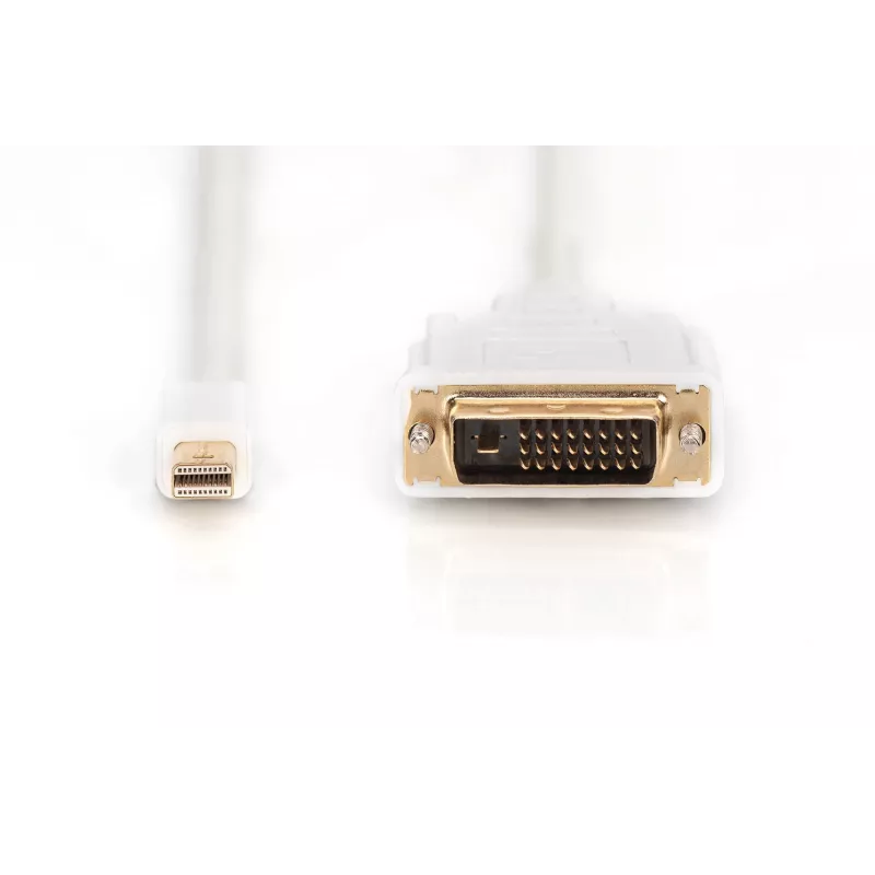 Cable DisplayPort 1.1a Mini DP-DVI tipo A macho-macho 2,0 m