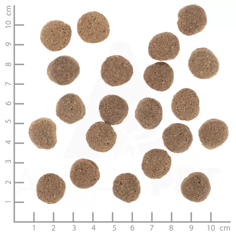 Pienso para perros Wolfsblut VetLine Weight Management pavo — 12 kg, sin cereales, 22% proteína, 8% grasa