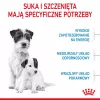 Pienso seco para perros Royal Canin Starter Madre & Cachorro 1 kg — pollo, 30% proteina, 22% grasa