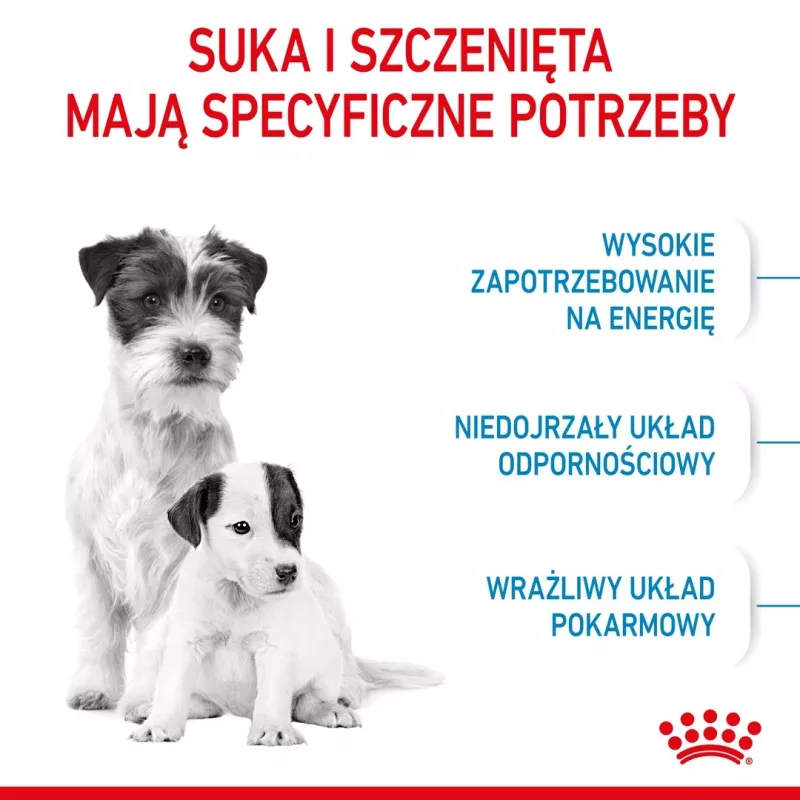 Pienso seco para perros Royal Canin Starter Madre & Cachorro 1 kg — pollo, 30% proteina, 22% grasa