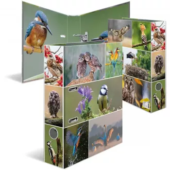 Archivador HERMA 19254 A4 multicolor con anillas D 285x315 mm