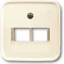 BUSCH-JAEGER Placa central UAE 2f. 1803-02-212 Duro 2000 SI blanco 1803-02-212 (1753-0-8956)