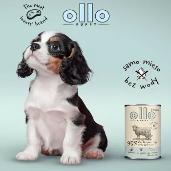 OLLO Puppy Umami Ternera y callos verdes con hígado de pato - comida húmeda para perros - 400 g