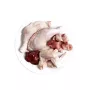 3COTY pollo - comida húmeda para gatos - 80g