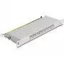 DeLOCK Patch Panel de 10
