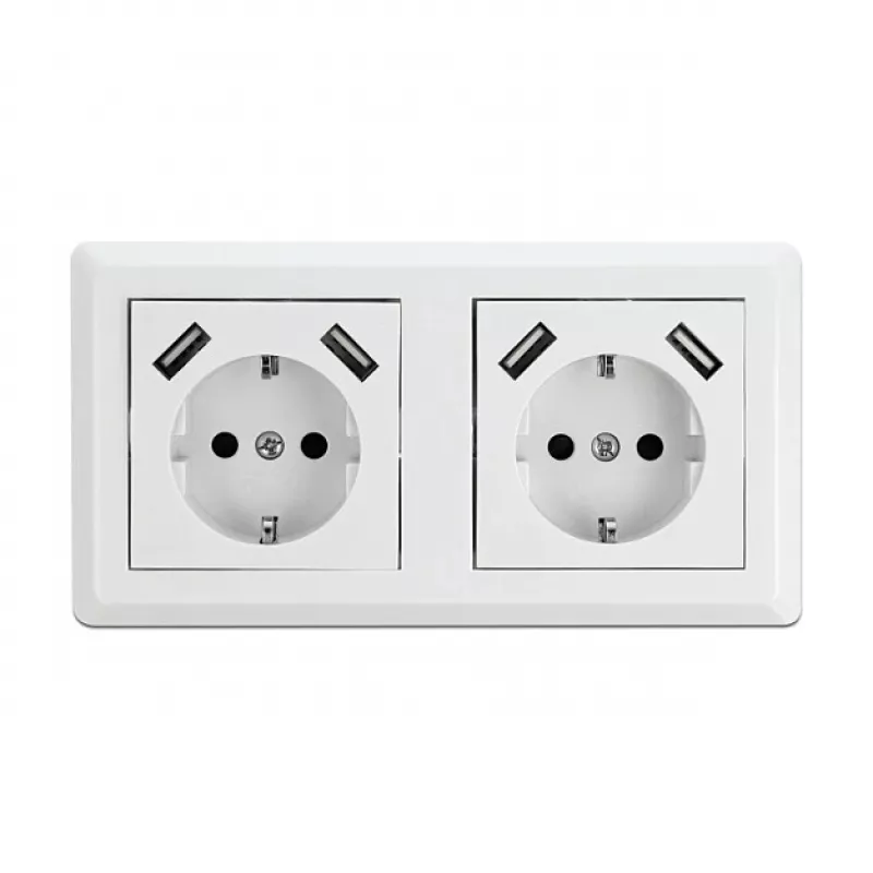 Toma de pared DeLOCK 2 tomas con 4 puertos USB 2 x 2,8 A