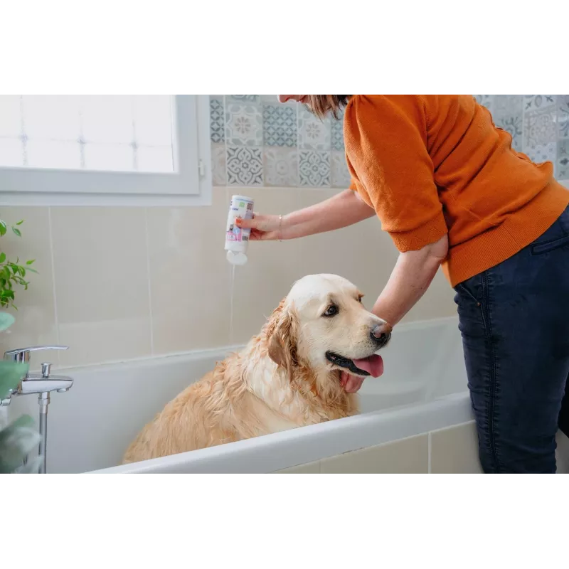 Champú VIRBAC Allerderm Normal 250 ml – cuidado suave de la piel de mascotas para perros y gatos