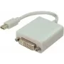 Cable Mini DisplayPort/DVI ShiverPeaks blanco