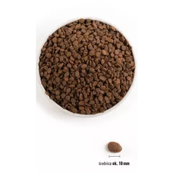 ORIJEN Regional Red Cat - Comida seca para gatos - 340 g