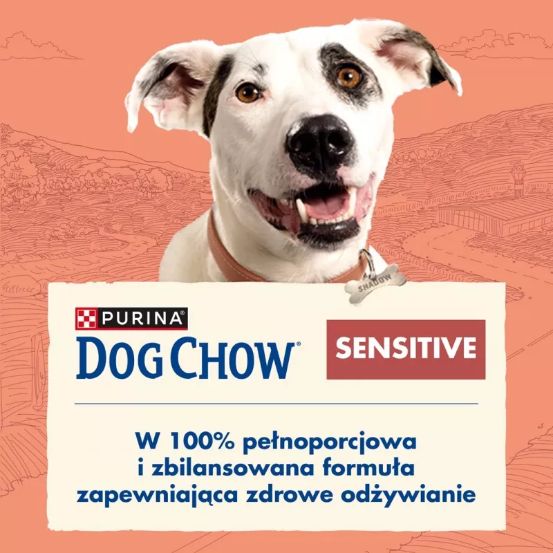 Purina DOG CHOW Sensitive Adult 14 kg salmón
