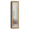Top e shop DUO SZAFA ANT/ART KP — 1 puerta, 2 estantes, 500×350×1800 mm
