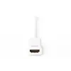 Adaptador DisplayPort Digitus AK-340404-001-W