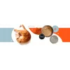 3COTY pavo con pollo y krill Senior - comida húmeda para gatos - 80g
